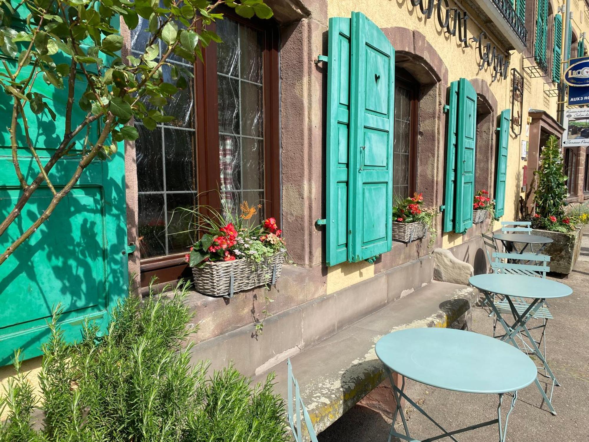 Hotel Restaurant Aux Trois Roses La Petite-Pierre Εξωτερικό φωτογραφία